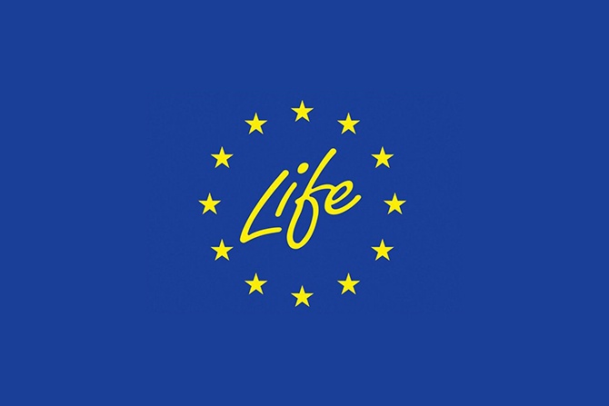 Polski projekt LIFE z dofinansowaniem NFOŚiGW
Fot. pixabay.com