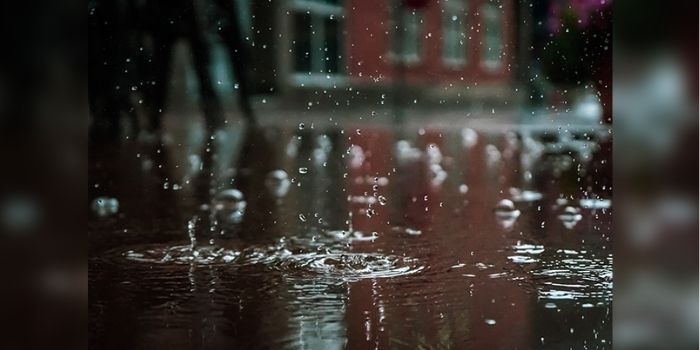 Zbiorniki deszcz&oacute;wki w Katowicach
Fot. pixabay.com