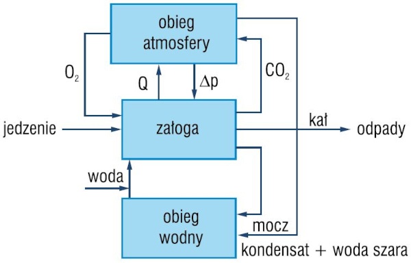 System podtrzymania życia