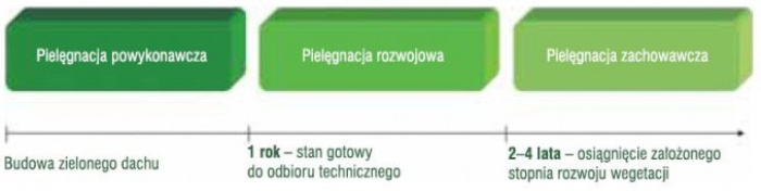 Fazy pielęgnacyjne - dach zielony