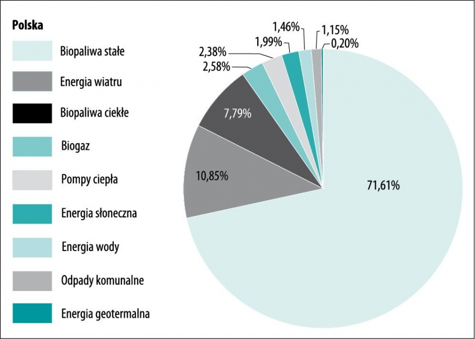 struktura pozyskiwania energii w polsce