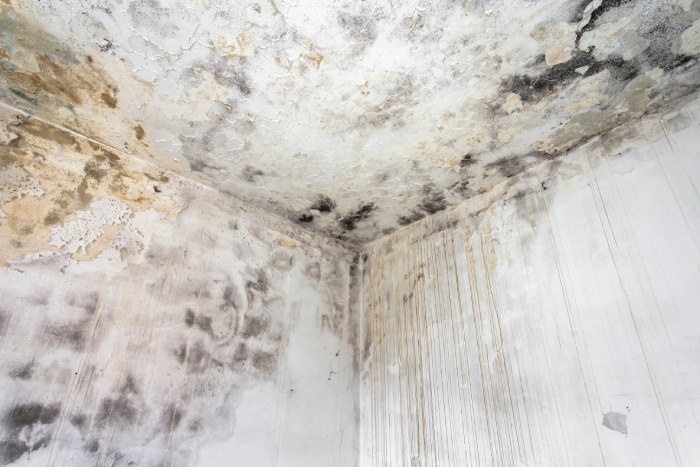 Nadmierna wilgotność powodująca pojawienie się wilgoci i pleśni na powierzchni ścian