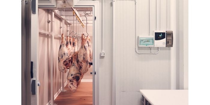 Chłodnia Antica Macelleria Cecchini